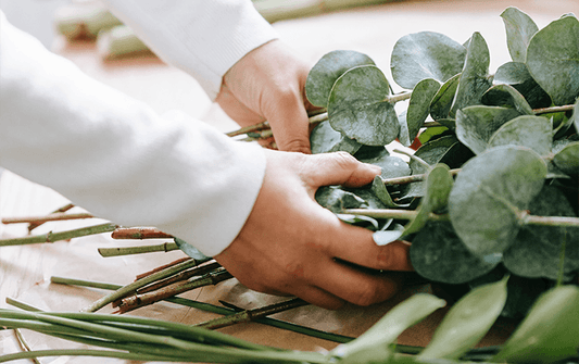 Preview image for 10_powerful_skincare_ingredients_and_how_they_work