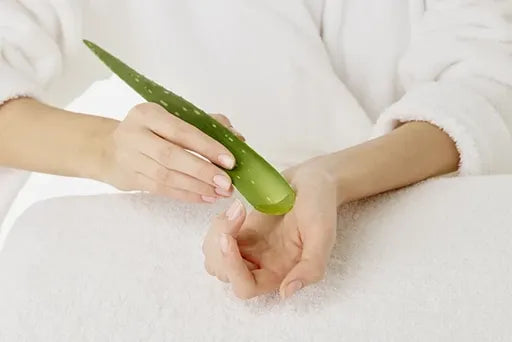 Infographic for UNDERSTANDALOEVERA
