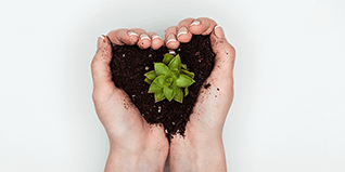Preview image for celebrate-earth-day